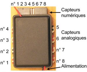 1 Capteur  Mini-HF 433/869MHz